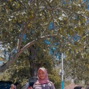 Eka Lutfiana profile icon