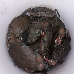 Erwin Sinaga profile icon