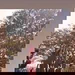 Nk Deulis profile icon