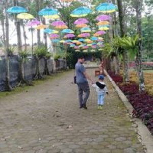 Saras Ina profile icon