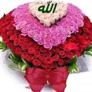 Rina Dhiwa Malka profile icon