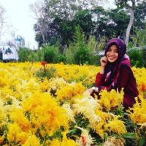 Ulul'azmi profile icon