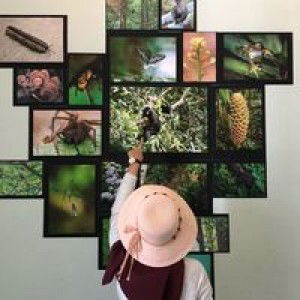 Nurul Dyana profile icon