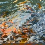 Abqariah Lulu Ufairah profile icon