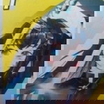 Airi Dom profile icon