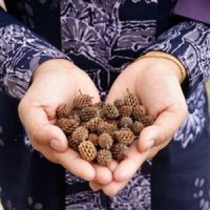 Dina Binti Abdulhadee profile icon