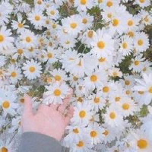 Ainul Mardhiyah profile icon