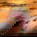 Susi Yuniarti profile icon