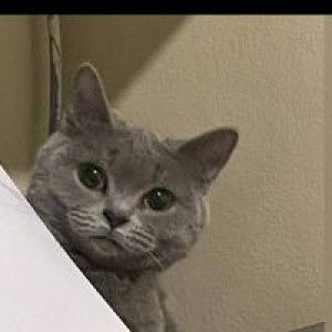 Nor Aziah Mohd Zambran profile icon