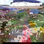 Rungnapa Wongkhoksung profile icon