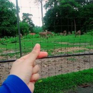 Farhatun Najwa Rusli profile icon