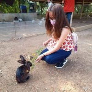 Dhenie Temagos Decipolo profile icon