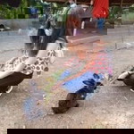 Dhenie Temagos Decipolo profile icon