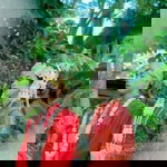 Thiytiin Hentinzta profile icon