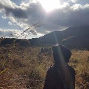 Dwi Aprillia Hardiningsih profile icon