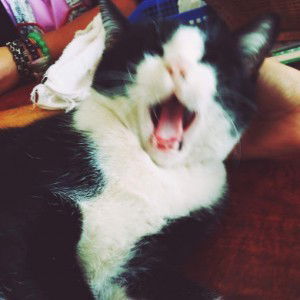 Srp Nuii profile icon