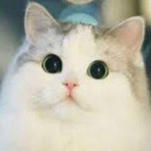 Eka Nur Istiqomah profile icon