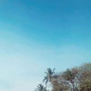 Andi Sri profile icon