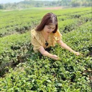 Fah Wilaiwan profile icon