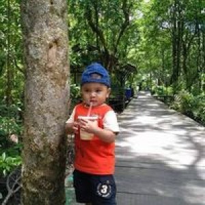 Dzaki Dzulfikar Hasnir profile icon