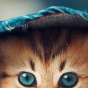 Dhea Ramdania profile icon