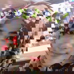 Novita Dewi profile icon