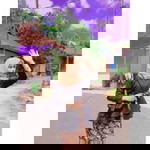 Fitri Alrosidah profile icon