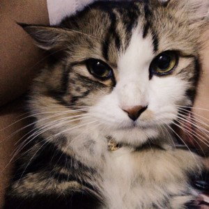 Emmy Kzman profile icon