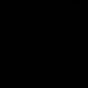 Pipit Tri Lestari profile icon