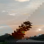 Veby p profile icon