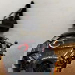 Hatt WAe Llah profile icon