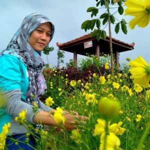 yeni septika profile icon