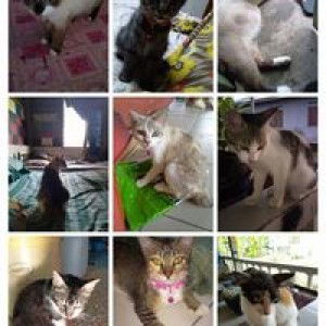 Yaya Mok profile icon