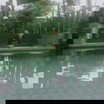 Xii Natalya Adonara profile icon