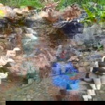 Nopita Rahayu profile icon