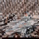 Tita Septiani profile icon