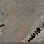 Sherly Oktavia profile icon