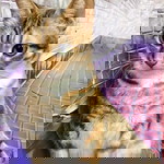 Jane Wawang profile icon