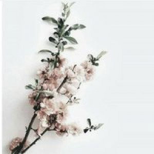 Nur Azizah Naibaho profile icon