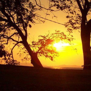 Nurul izzati Saini profile icon