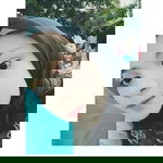 Raina Nursalsabila profile icon