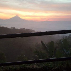 Izzania profile icon