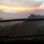 Izzania profile icon