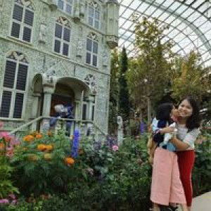 Audrey Pink profile icon