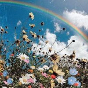 Miftahul Jannah Mitha profile icon