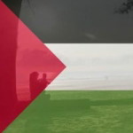 Ain Zakaria profile icon