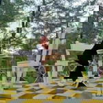 Kazama Duapuluhdesember profile icon