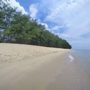 Anis Azma profile icon