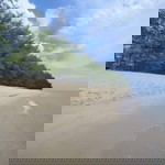 Anis Azma profile icon