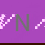 Nur Syaheera profile icon